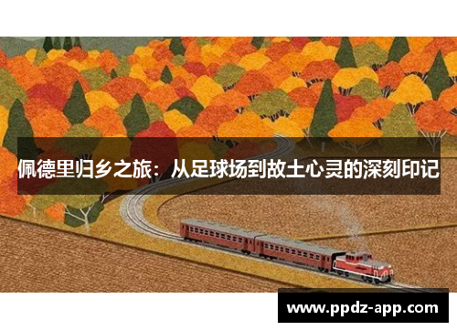 佩德里归乡之旅：从足球场到故土心灵的深刻印记
