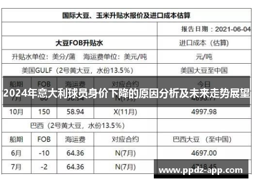 2024年意大利球员身价下降的原因分析及未来走势展望