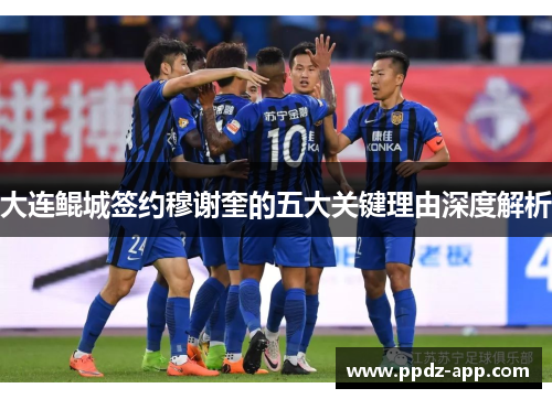 大连鲲城签约穆谢奎的五大关键理由深度解析