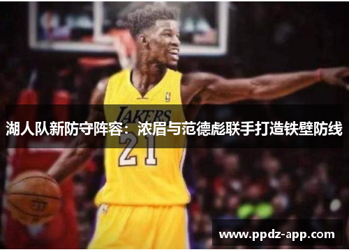 湖人队新防守阵容：浓眉与范德彪联手打造铁壁防线