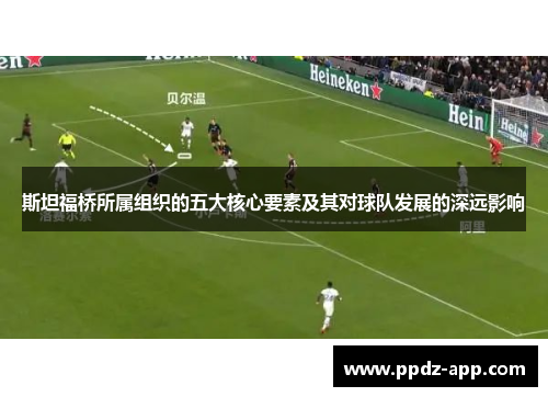 斯坦福桥所属组织的五大核心要素及其对球队发展的深远影响