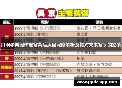丹羽孝希因伤退赛背后原因深度解析及其对未来赛季的影响